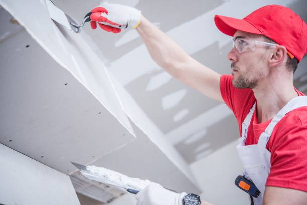 Best Ceiling Drywall Installation  in Fayetteville, WV